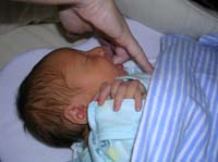 DSCN0060